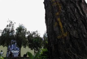 Can the ‘Occupy’ Movement Save Baguio’s Decay?