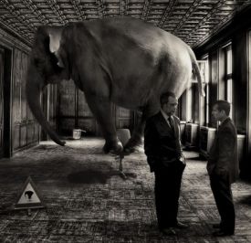 Elephant named Mistrial will henceforth sit amongst Senator-Judges in Corona impeachment