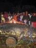Giant Philippine crocodile is world’s biggest in captivity