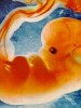 Philippine Reproductive Health Bill: politically-corrected beyond recognition