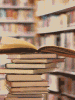 The Primary Purpose of the University is to Develop and Cultivate Critical Thinking