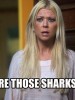 Swim With Sharknado