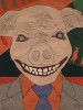 Executives execute, legislators legislate: Scrap the pork barrel