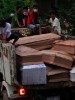 Bodies dumped in mass graves as PNoy expresses concern over ‘anxiety’ of families of missing Yolanda victims