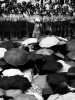 What Filipinos need to learn from Hong Kong’s #UmbrellaRevolution