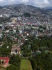 The Truth About The Parliamentary System, SM Baguio Pine Trees, and Paul Farol