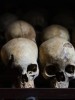A Look Back into the Abyss: The Rwandan Genocide