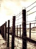 Mao Zedong, Adolf Hitler, and Josef Stalin: The Philippines’ political drama in retrospect