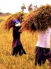 Breaking the Culture of Slavery: The First Step in Saving the Philippines