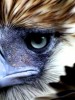 A Moment of Silence for Pamana