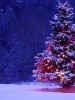 A Sermon On Premature Christmas Decorating And The Day Of The Dead