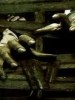 Alternative Media (Part 14): Urban Gothic