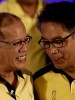 How do I, as a voter, view Mar Roxas