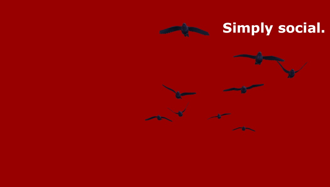 Detoxing from Big Corporate Social Media and a return to REAL “social networking”