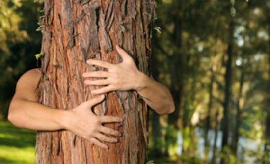 We can Talk About Environmental Issues Without Climate Change