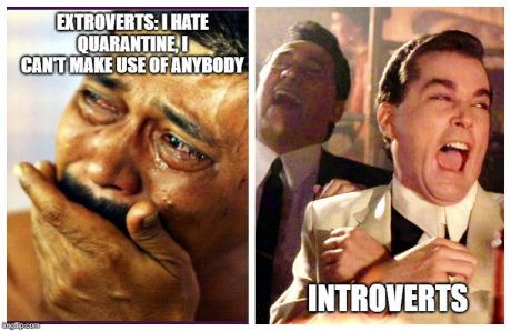 introvert extrovert